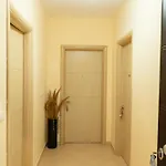 Msg-suites