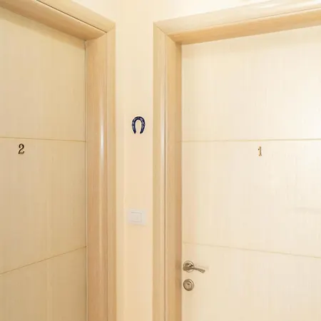 Msg-suites